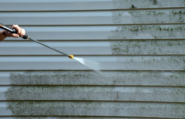 Best Commercial Mold Removal  in Sansom Park, TX