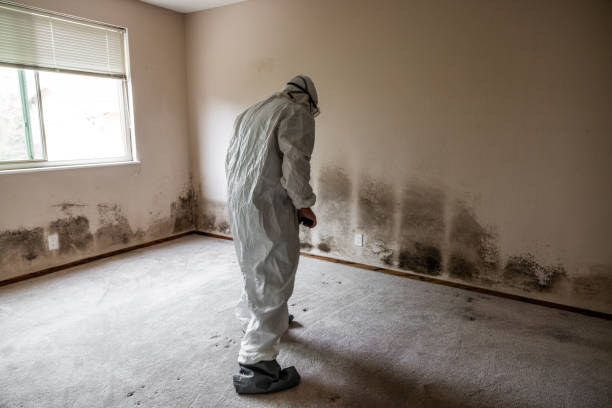 Best Mold Testing  in Sansom Park, TX